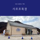 풍성한목장 | 포천 산정호수 카페 사르르목장 혼자 즐긴 카이막과 라떼 찐후기