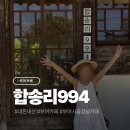 994 | 충남 부여 시골감성 카페 합송리994 내돈내산 후기