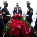 대원A장미 이미지