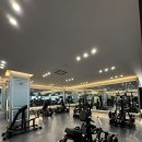 짐포레스트 이미지