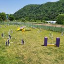 돌담펫호텔 이미지