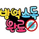 용인대석사비호태권도장 이미지