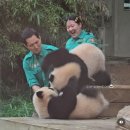 알콩달콩 이미지