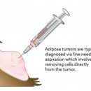 봄앤동물병원 이미지