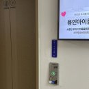 솔상 | 용인 솔스퀘어 컨벤션 하객 후기 (토요일 첫 타임, 비오는 날)