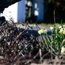 하모체육공원 이미지