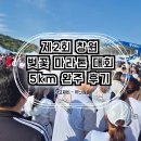 창원시 견인차량보관소 | 제2회 창원 벚꽃 마라톤 대회 초보 마라톤 완주 후기
