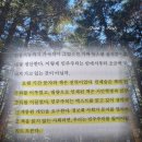 소망인쇄출판사 | 세상이 그대를 속일지라도 책 | 김상욱 책 후기 | 아는 것은 인간이 되기 위한 도덕적 의무다 추천 리뷰...