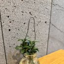 컴포즈커피마산구암