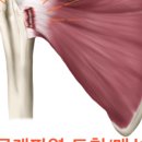 오월의한의원 이미지