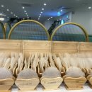 지오농장 | [강남역 맛집] 샤브지오 샤브샤브 맛있어요!