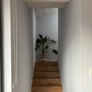 루나넬마레 이미지