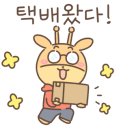 프로세탁 이미지