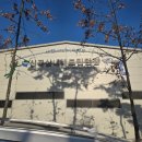 펄스코 | 전국 배드민턴 대회 후기｜펄스비 배드민턴 티셔츠 솔직 리뷰