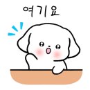 하늘점핑
