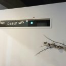 신원미용실 이미지