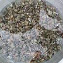 맛칼국수 이미지