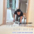 천안시티자이아파트 | 천안 성성시티자이 아파트 강아지 고양이 안전매트 시공 후기