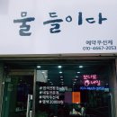 물들이다 이미지