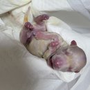 의성동물병원 이미지