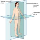 부산 남포동 크로스핏 해성 / 2016-8-4 hs크로스핏 cf wod - 버피 박스 점프, 푸시프레스,더블언더 이미지