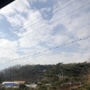 정원운수 이미지