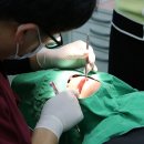 유디치과병원 이미지