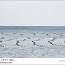 바다전망대 이미지