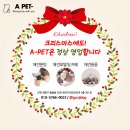 에이펫(A-PET) 이미지