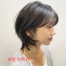 483기최혜영 중단발허쉬컷 BP90도 이미지