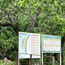 캠핑소리251 | 가평 애견동반 캠핑장 - 캠핑소리251 방문 후기