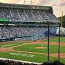 대구 야구장 이미지
