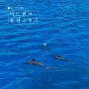 선재 체험어장 공중화장실 | 괌 돌고래투어 준비물, 팁 등 미드썸머 돌핀크루즈 후기