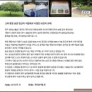 달인의산삼 | 대한민국의 보배 팔당산삼수목원 // 팔당산삼수목원 최혜원 원장님께