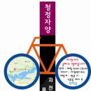 자양벚꽃100리길 이미지