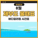 2025년 장애인 복지 혜택 | 경증 | 중증 등급별 | 장애인 복지카드 이미지