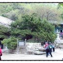 시도 석실로 이미지