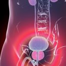 (유)라일 이미지