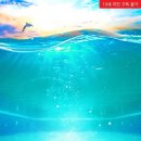 아쿠아팩토리 이미지