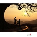 사랑나무아래