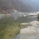 전원 오토캠핑장