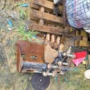 동양농장 이미지