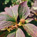 사봉농장 이미지