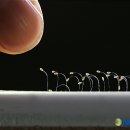 3.1운동기념관 Daum카페