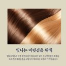 태후사랑가촌점 | "관리하는 분들의 숨은 꿀템, 태후사랑 트리트먼트가 사랑받는 이유 3가지"