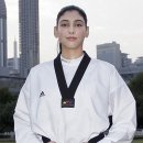 부국태권도장 이미지