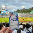 28140-3-6-17 | 대구삼성라이온즈파크 블루존 3-6구역 17열 직관 시야 및 후기 [25.05.27 화요일 삼성vs롯데]