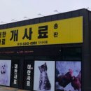 다사사료