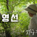 UHD 다큐멘터리 | 지구정원사 티저#3 | Gardners on Earth teaser#3 이미지