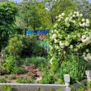 고향촌민박 이미지